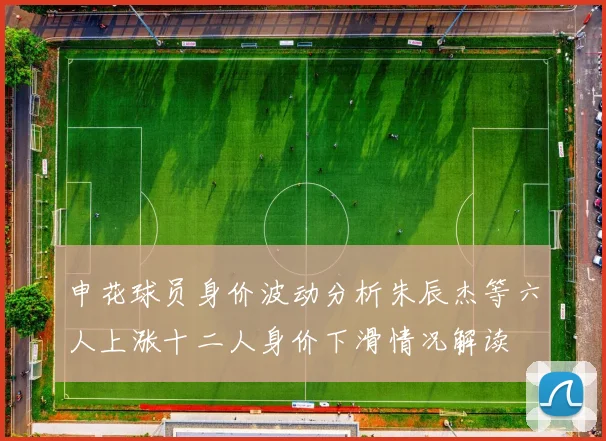 申花球员身价波动分析朱辰杰等六人上涨十二人身价下滑情况解读