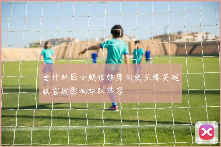 舍什科因小腿伤缺席训练无缘英超收官战影响球队阵容