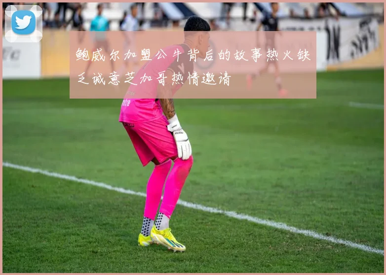 鲍威尔加盟公牛背后的故事热火缺乏诚意芝加哥热情邀请