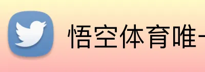 悟空体育唯一官网 logo