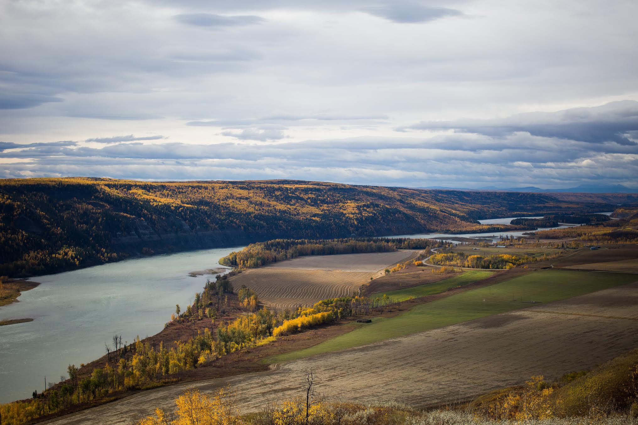 Ben Nelms photo of Peace River Farmland